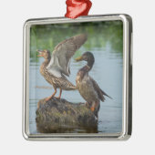 Excuseer mij metalen ornament (Links)