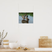 Excuseer mij poster (Keuken)