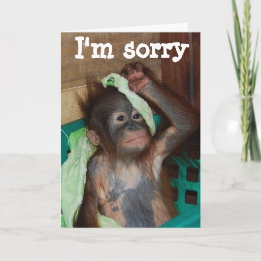 Excuses dat het me spijt kaart (Voorkant)