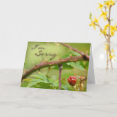 Excuses kaart Sorry voor het zijn stekelig (Gele Bloem)