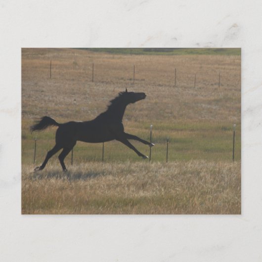 Exécuter avec la carte postale Vent (Devant)