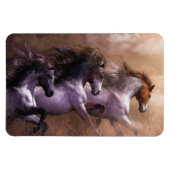 Exécuter vers Freedom Premium Flexi Magnet (Horizontal)