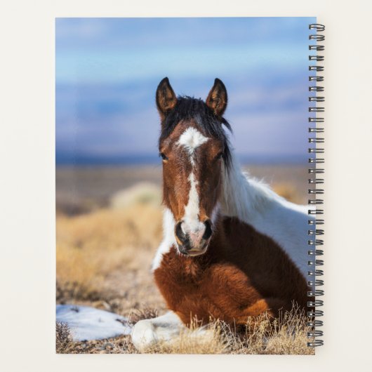 Exécuter Wild, Exécuter Free Planner (Dos)