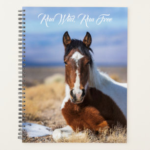 Exécuter Wild, Exécuter Free Planner