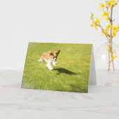 Exécutez Puppy Run Dans la carte de voeux de triag (Fleur jaune)