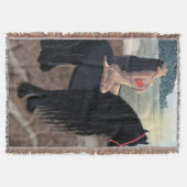 Exécution - Couverture / Décor Mur (Devant)