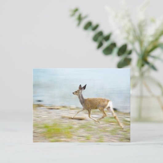 Exécution de la carte postale (Debout devant)