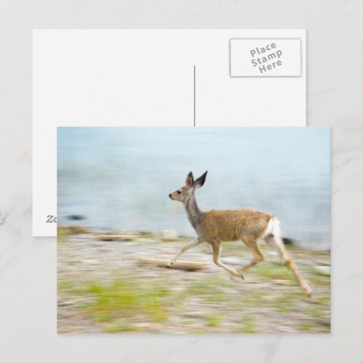 Exécution de la carte postale (Devant / Derrière)