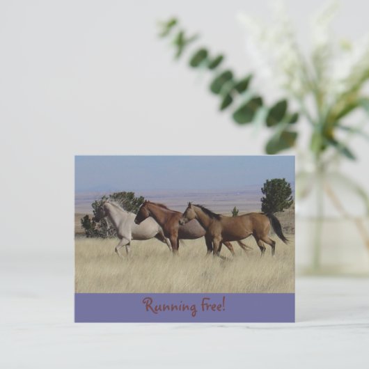 Exécution de la carte postale gratuite (Debout devant)