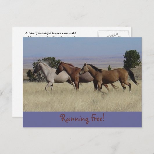 Exécution de la carte postale gratuite (Devant / Derrière)