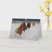 Exécution de la carte poule (Fleur jaune)