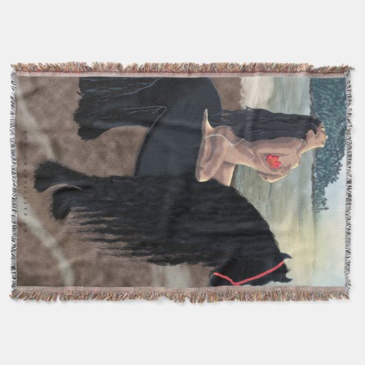 Exécution - Décoration murale / couverture (Devant)