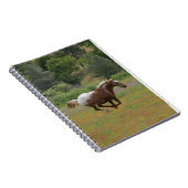 Exécution du Carnet Appaloosa (Côté Droit)