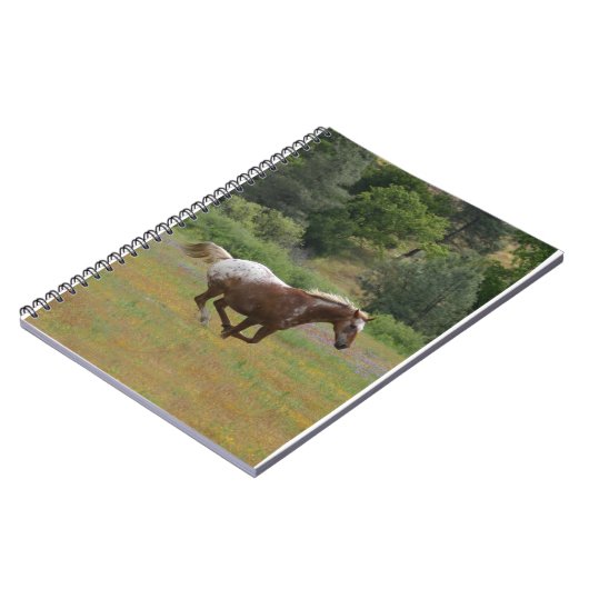 Exécution du Carnet Appaloosa (Côté gauche)