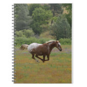 Exécution du Carnet Appaloosa (Devant)
