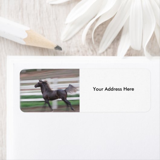 Exécution du Étiquette de la fidélité (En situation)