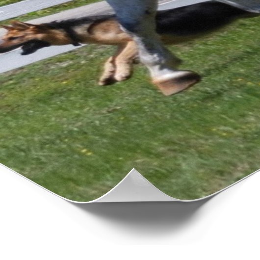 EXÉCUTION DU POSTER CHEVAL ET CHIEN (Coin)