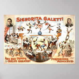 Exécution du poster vintage de singes