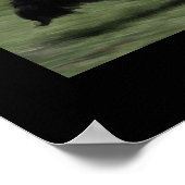 EXÉCUTION d'une affiche démotivationnelle (Coin)