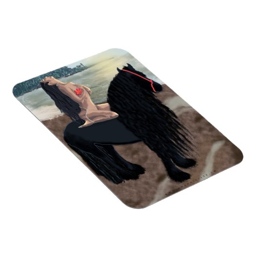 Exécution - Magnet (Côté Droit)