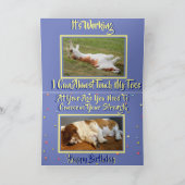 Exercice amusant Carte d'anniversaire avec Basset  (Intérieur)