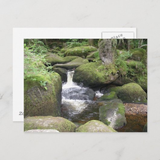 exeter 2009 105 briefkaart (Voorkant / Achterkant)