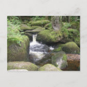 exeter 2009 105 briefkaart (Voorkant)