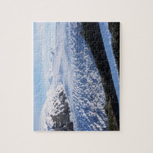 Exit Glacier in Kenai Fjords National Park Legpuzzel (Verticaal)