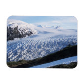 Exit Glacier in Kenai Fjords National Park Magneet (Horizontaal)
