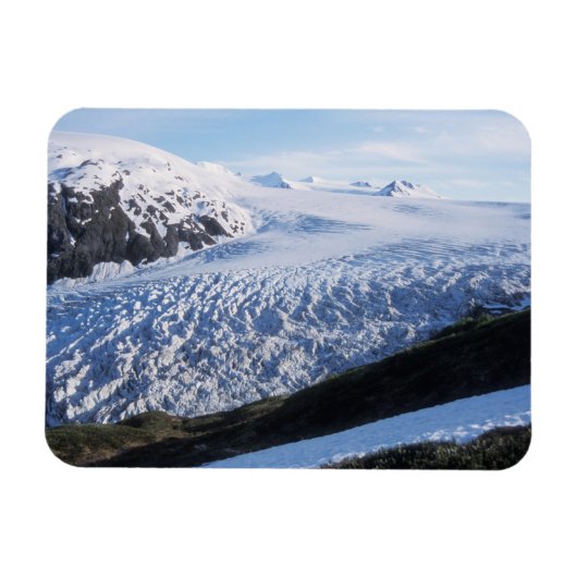 Exit Glacier in Kenai Fjords National Park Magneet (Horizontaal)