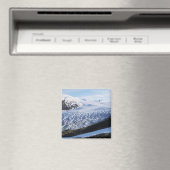 Exit Glacier in Kenai Fjords National Park Magneet (Insitu (Vaatwasser))