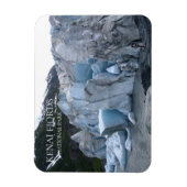 Exit Glacier Toe, Kenai Fjords National Park, AK Magneet (Verticaal)