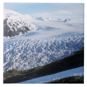 Exit-gletsjer in Kenai Fjords National Park, Tegeltje