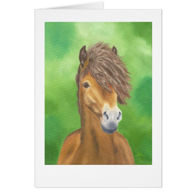 Exmoer-pony (Voorkant)