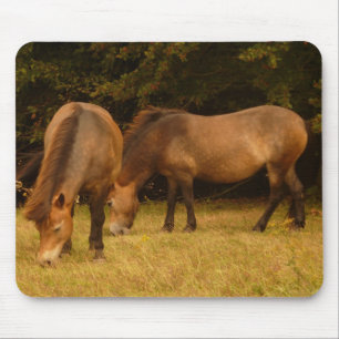 Exmoor Ponies Mousepad Muismat