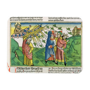 Exodus 10:1-20 The Seven Plagues of Egypt: het pla Magneet