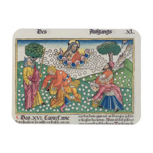 Exodus 16 13-22 God verstrekt kwartels en manna aa Magneet