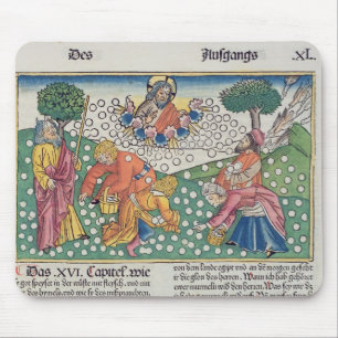 Exodus 16 13-22 God verstrekt kwartels en manna aa Muismat