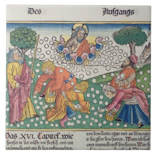 Exodus 16 13-22 God verstrekt kwartels en manna aa Tegeltje