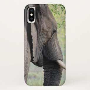 Exotic African Grey Elephant iPhone X Hoesje
