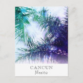 *~* Exotic AP25 Palm Leaf Personalize - Reizen Briefkaart (Voorkant)