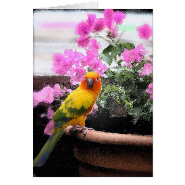 Exotic Bird (Voorkant)