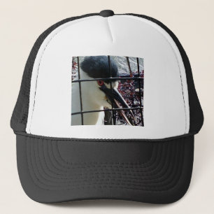Exotic Bird in het Zoo afbeelding Trucker Pet