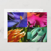 Exotic Blooms Briefkaart (Voorkant / Achterkant)
