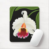 Exotic Cattleya Orchid Flower Muismat (Met muis)