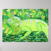 Exotic Iguana Poster (Voorkant)