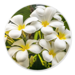 Exotic Island Plumeria Knob Keramische Knop