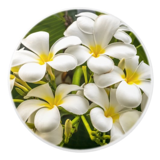 Exotic Island Plumeria Knob Keramische Knop (Voorkant)