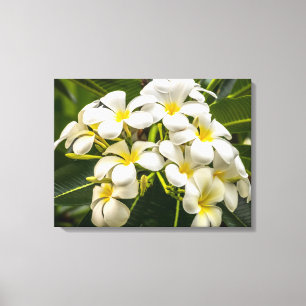 Exotic Island Plumeria Wrapped Canvas Print