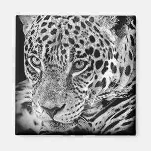 Exotic Jaguar Magneet